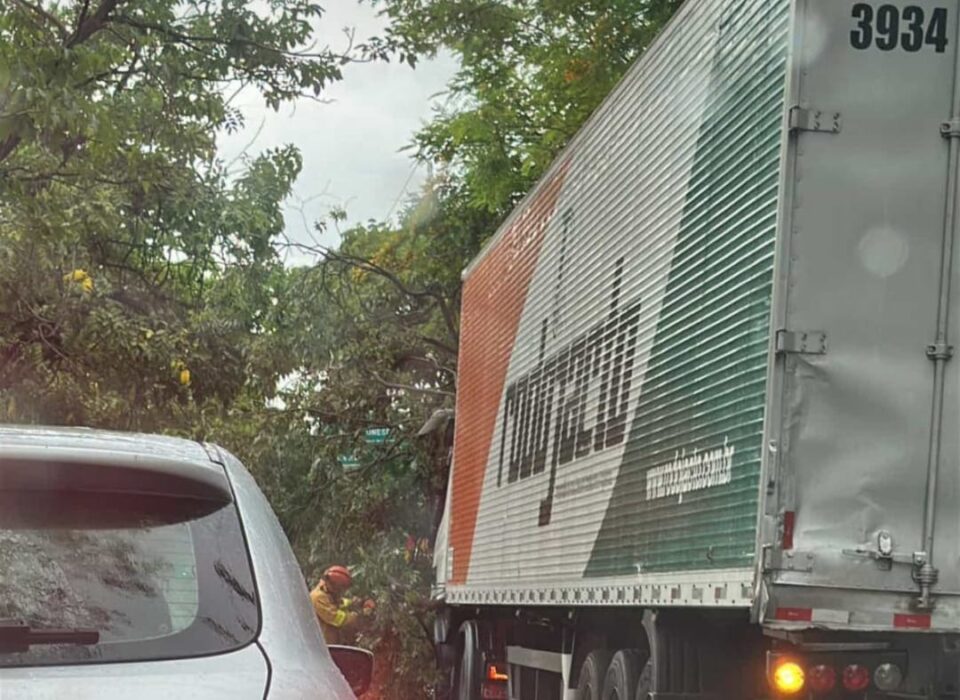 Colisão de caminhão com árvore deixa trânsito lento na Manoel Goulart em Prudente