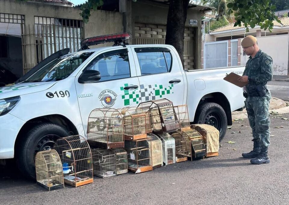 Idoso é multado em R$ 9 mil por manter 17 aves silvestres em cativeiro em Presidente Prudente