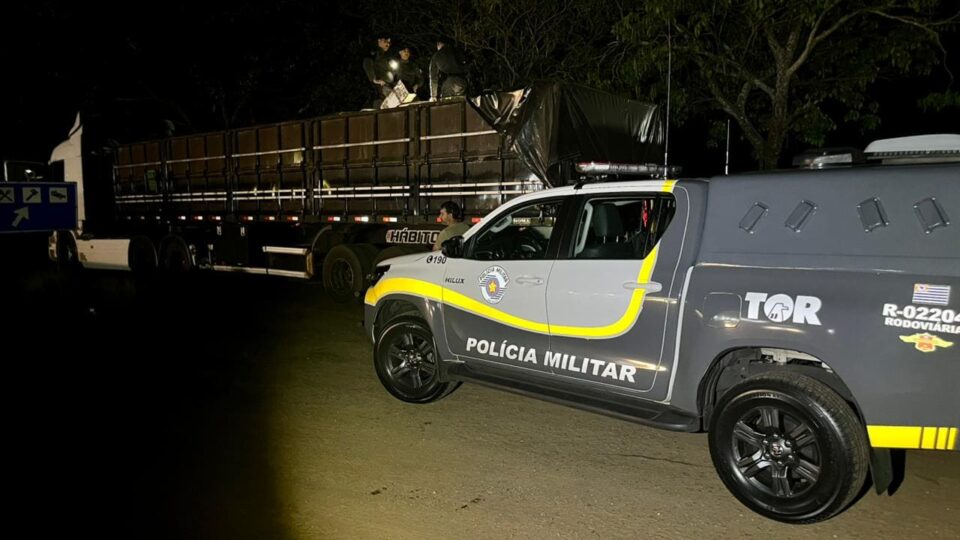 Polícia intercepta caminhão na rodovia e apreende 311 kg de maconha em Pirapozinho