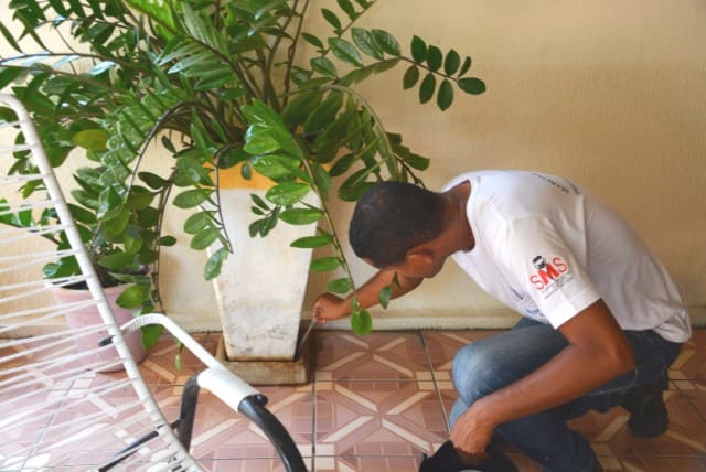 Antes de viajar no fim de ano, moradores devem reforçar cuidados contra o Aedes aegypti em Presidente Prudente