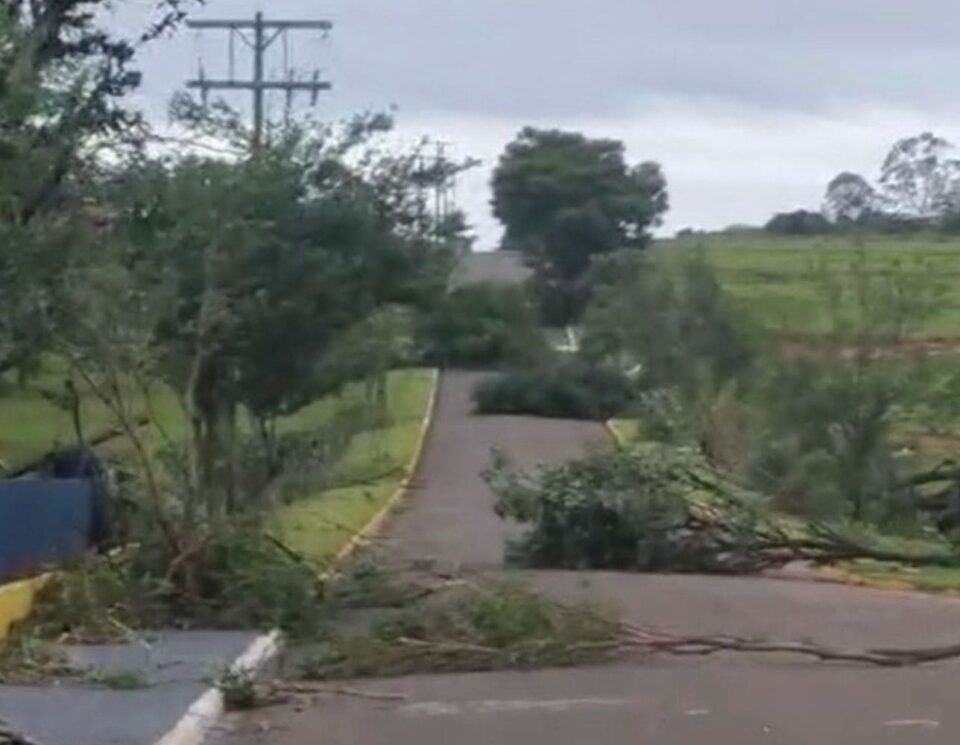 Tornado do tipo landspout assusta moradores e causa danos em Teodoro Sampaio