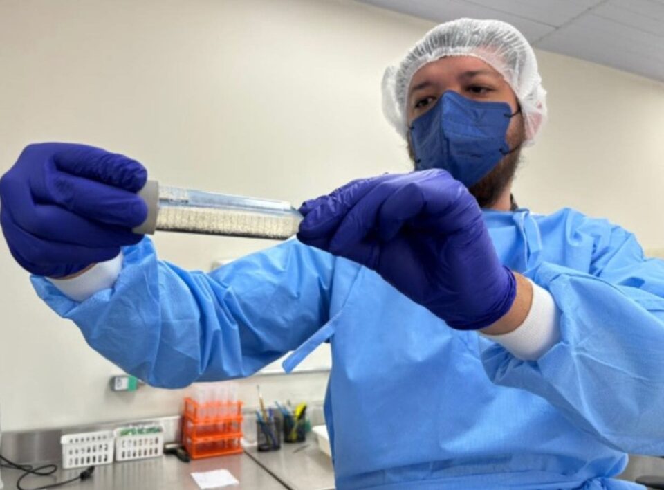 Presidente Prudente registra queda nos casos de dengue e avança para segunda fase do Método Wolbachia