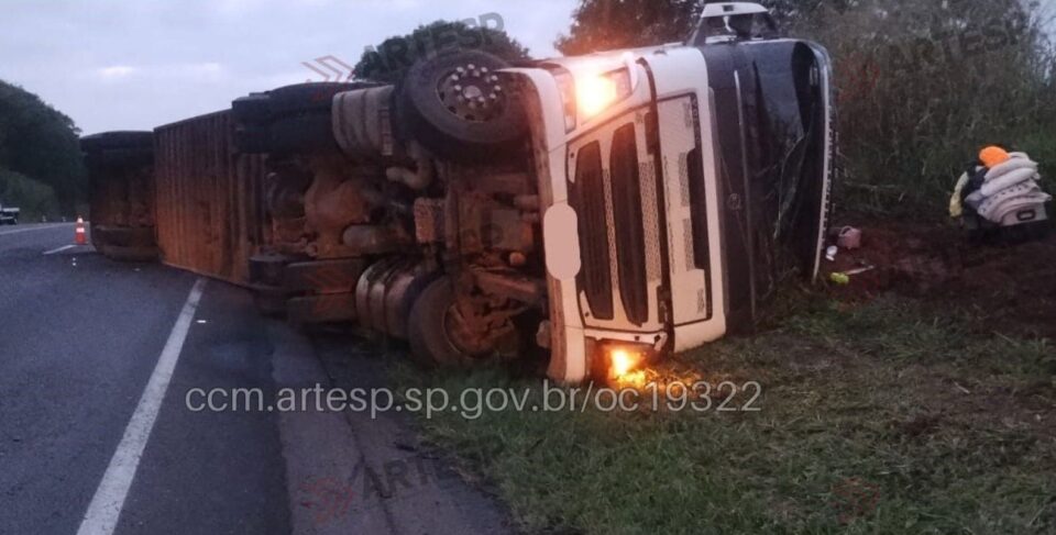 Caminhão com gado tomba após motorista dormir ao volante em Martinópolis