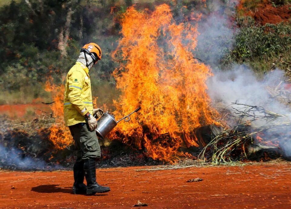 Defesa Civil alerta que 9 em cada 10 incêndios são causados por ação humana