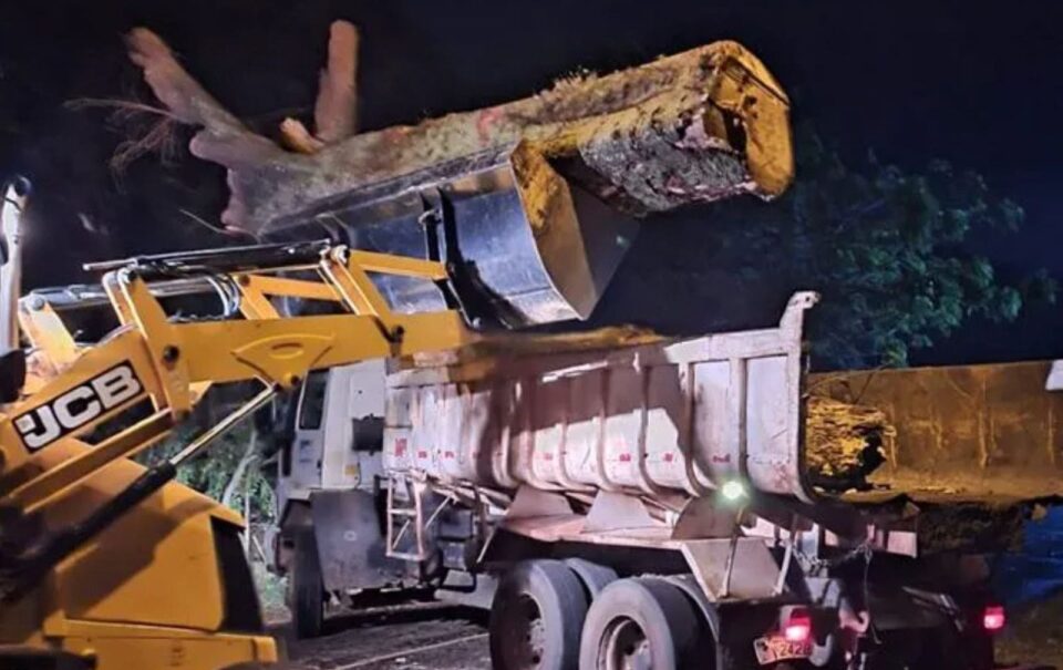 Temporal provoca granizo, alagamentos e queda de árvore no Oeste Paulista