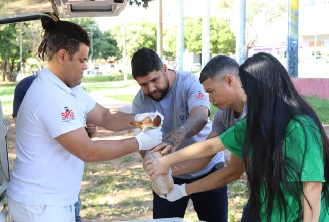 Prudente amplia ações contra leishmaniose e realiza coleta de sangue em bairros