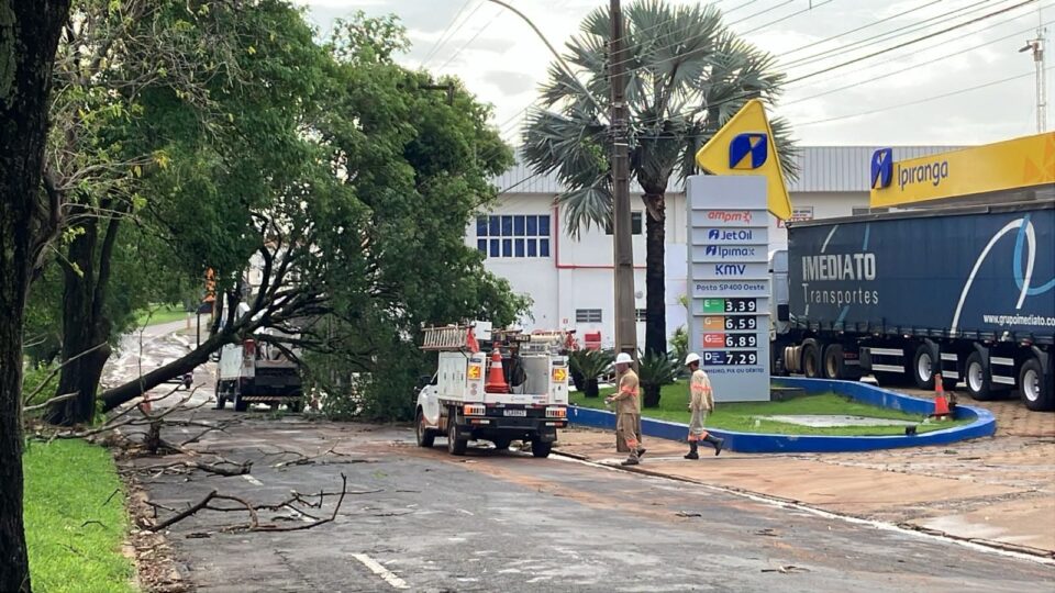 Chuva e ventos fortes derrubam postes e afetam energia em Presidente Prudente