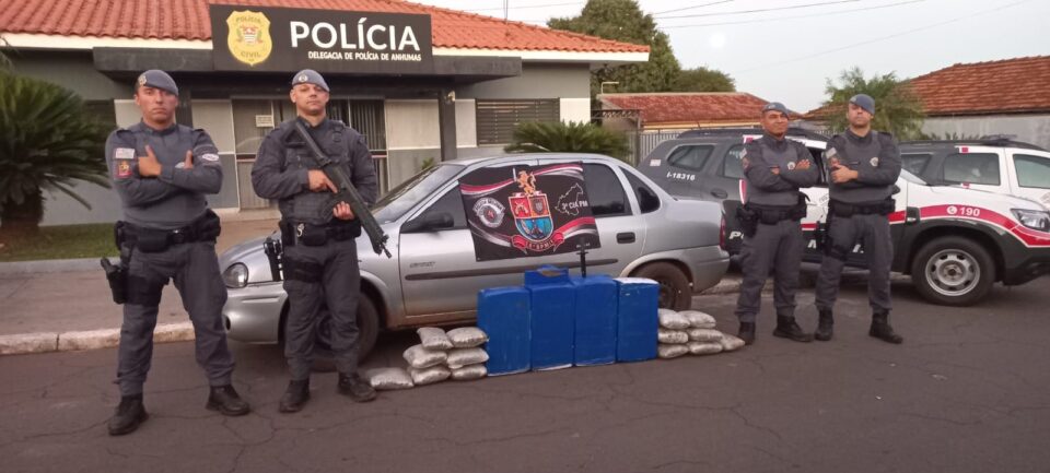 Fuga para canavial termina com apreensão de 112,7 kg de drogas em Anhumas