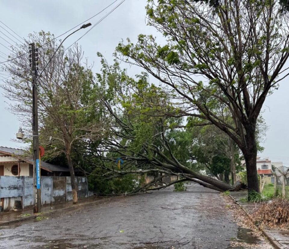 Chuva forte e ventania deixam rastro de estragos e derrubam postes