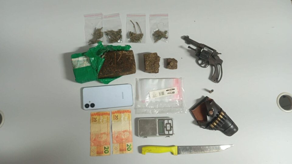 Seis pés de maconha e revólver são apreendidos; dois homens acabam presos